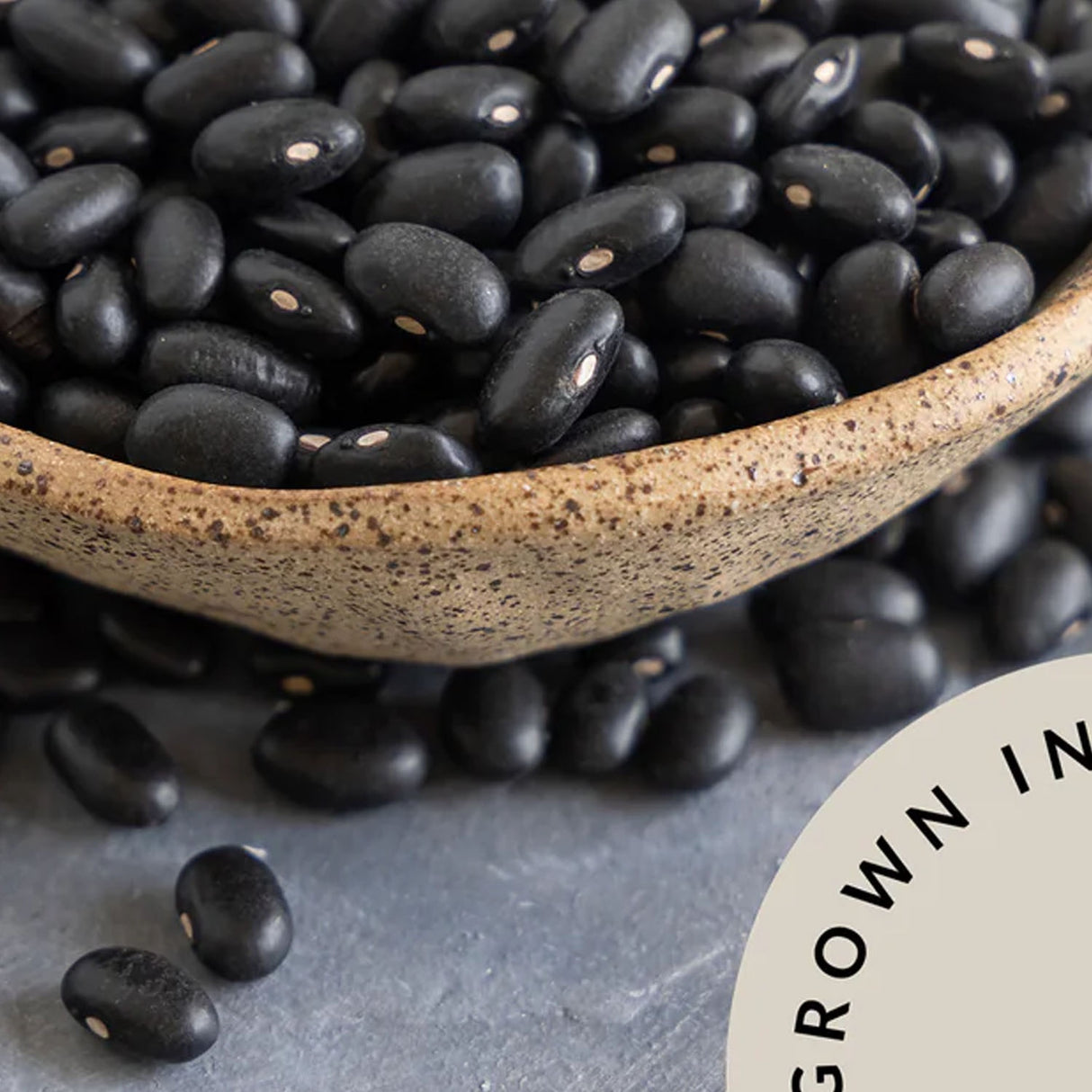 Trader Joe’s Nutritious & Versatile Organic Black Beans 15.5 Oz