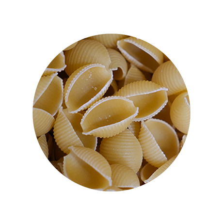 Bulk Foods - Large Pasta Shells - Bulk Bin 1629 (20 pounds)
