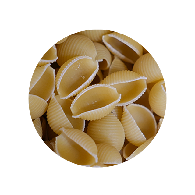 Bulk Foods - Large Pasta Shells - Bulk Bin 1629 (20 pounds)