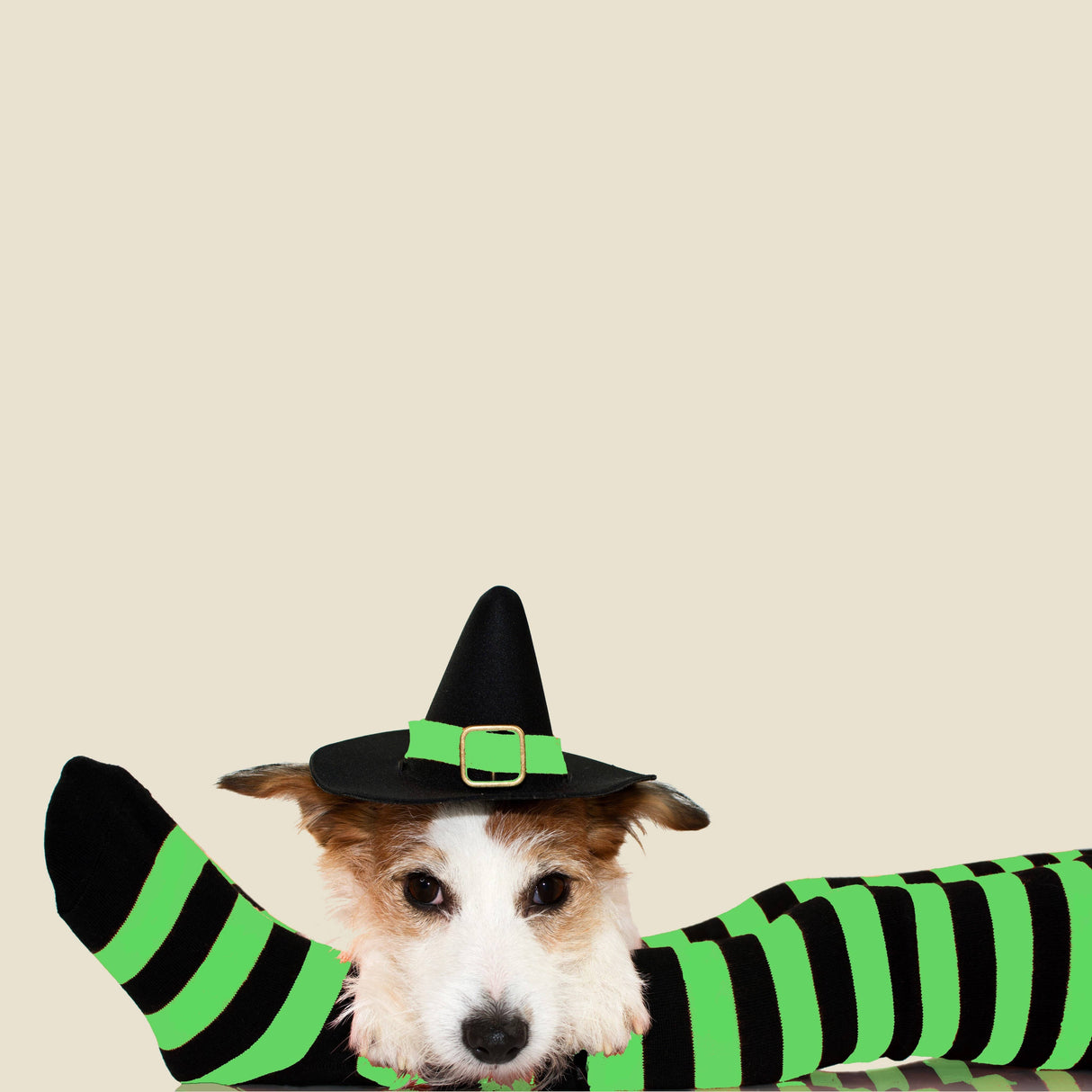 Green and White Socks (Item Packed By the Dozen)