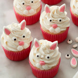 Wilton Easter Bunny Face Icing Decorations Kit – 1.88 oz.