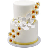 White Plumeria 4 per order - Gum Paste Flowers cake toppers