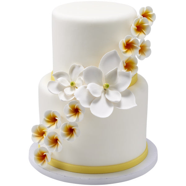 White Plumeria 4 per order - Gum Paste Flowers cake toppers
