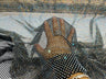 AB Rhinestones On A Fish Net Polyester Fabric - Iridescent Rhinestone Mesh, 1 Yard