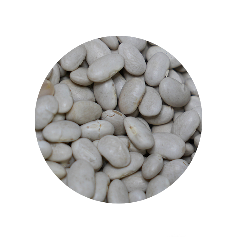 Bulk Foods - Great Northern Beans - Bulk Bin 1634 (25 pounds)