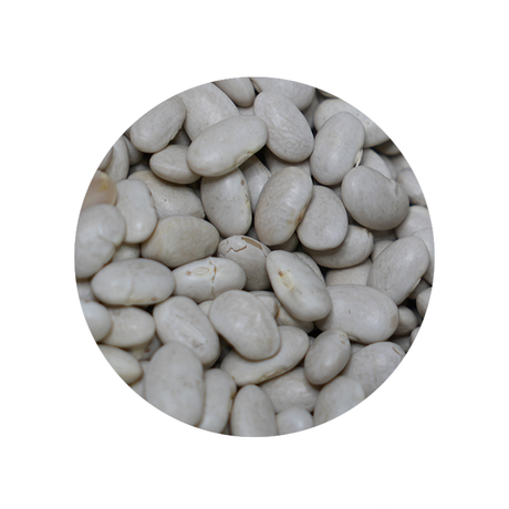 Bulk Foods - Great Northern Beans - Bulk Bin 1634 (25 pounds)