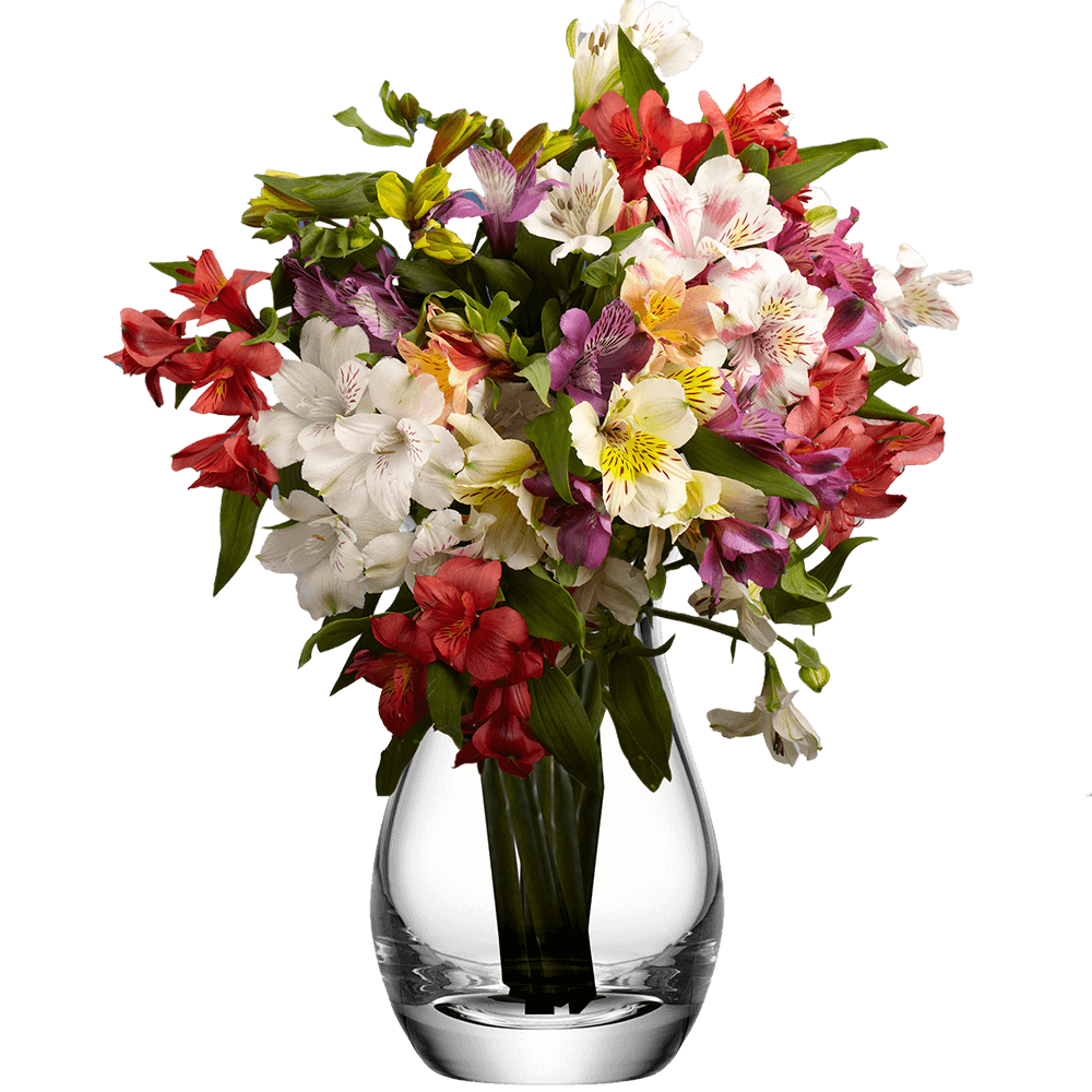 Assorted Alstroemeria Stems Flower Bouquets