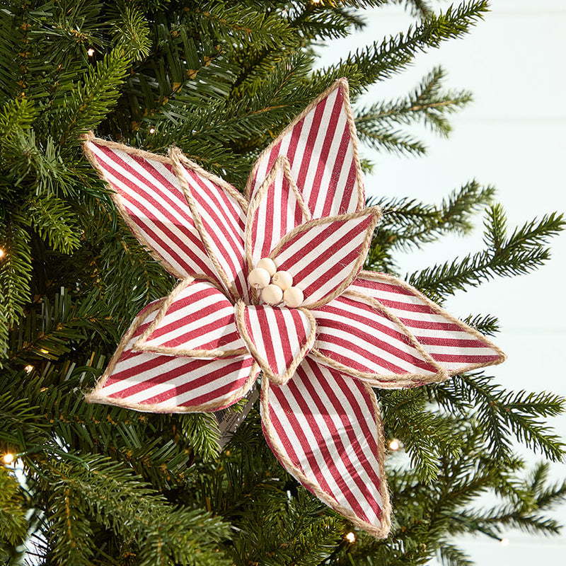 20" x 12" Striped Poinsettia Stem