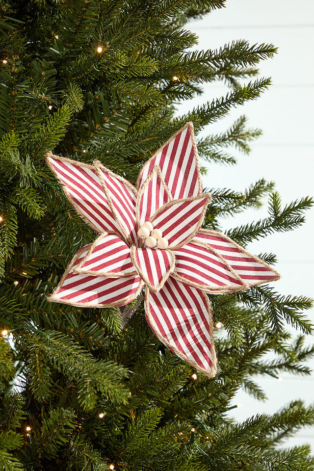 20" x 12" Striped Poinsettia Stem
