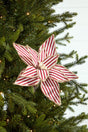 20" x 12" Striped Poinsettia Stem