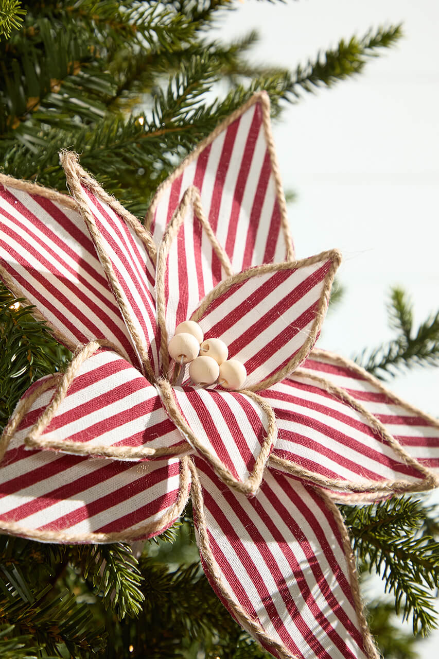 20" x 12" Striped Poinsettia Stem