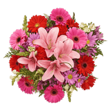Celestial Holiday Bouquets Luxury Multicolor Christmas Flower Arrangement Festive Winter Floral Centerpiece