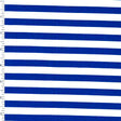 Printed Spandex Navy White Stripe Swimwear