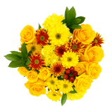 Autumn Delightful Flower Bouquets Fresh Seasonal Arrangement Set
