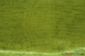 Crystal Organza Polyester Fabric - Sparkle Sheer, 58/60" Width, Yards & Bolts (1 Yard)