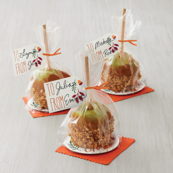 Wilton 5-Inch Bamboo Wood Cake Pop Dipped Candy Apple Lollipop Sticks, 30-Count
