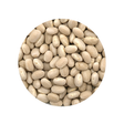 Bulk Foods - Navy Beans - Bulk Bin 1644 (25 pounds)