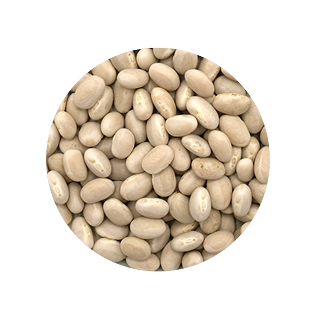 Bulk Foods - Navy Beans - Bulk Bin 1644 (25 pounds)