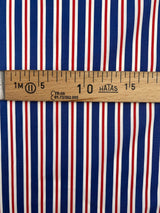 Cotton Poplin Blue Striped