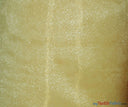 Crystal Organza Polyester Fabric - Sparkle Sheer, 58/60" Width, Yards & Bolts (1 Yard)