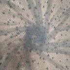Pearl Tulle Polyester Fabric - Soft Mesh With Scattered Pearls, 58" Width
