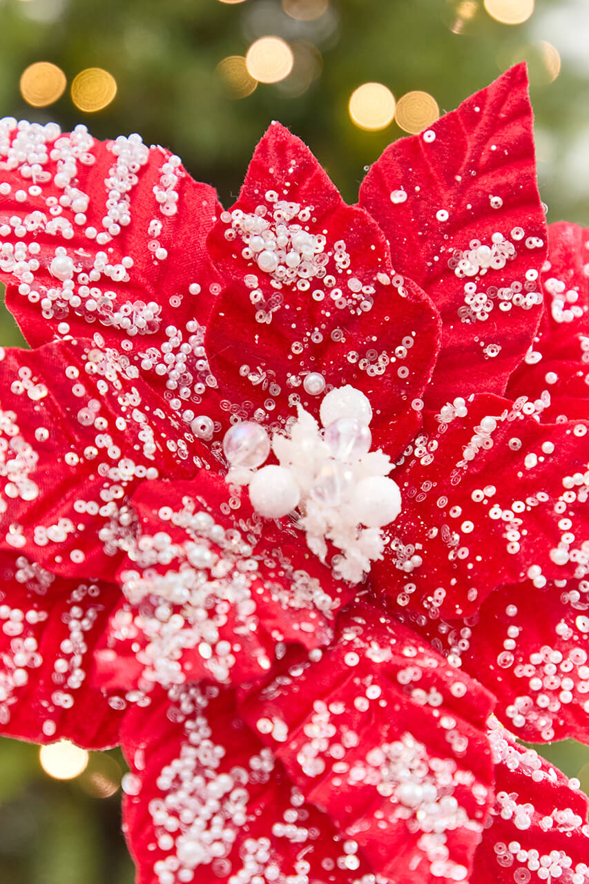 19" x 13.5" Snowy Red Poinsettia Stem