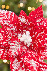 19" x 13.5" Snowy Red Poinsettia Stem
