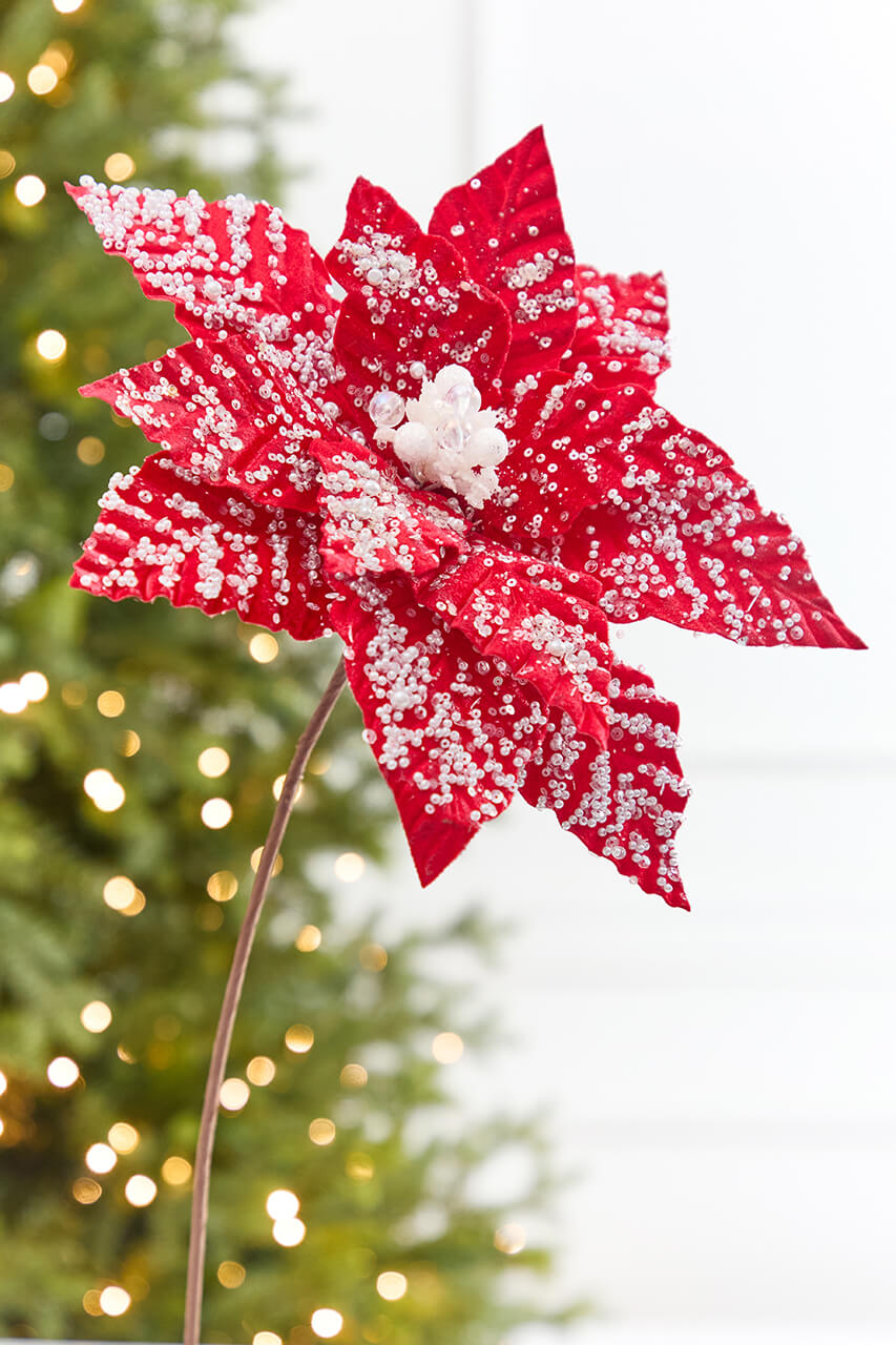 19" x 13.5" Snowy Red Poinsettia Stem