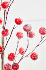 26” Beaded Crabapple Spray - Red