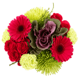 Silent Night Christmas Flower Bouquet Fresh Arrangement