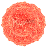 Orange Carnations – Vibrant Fresh Cut Flower Bouquets