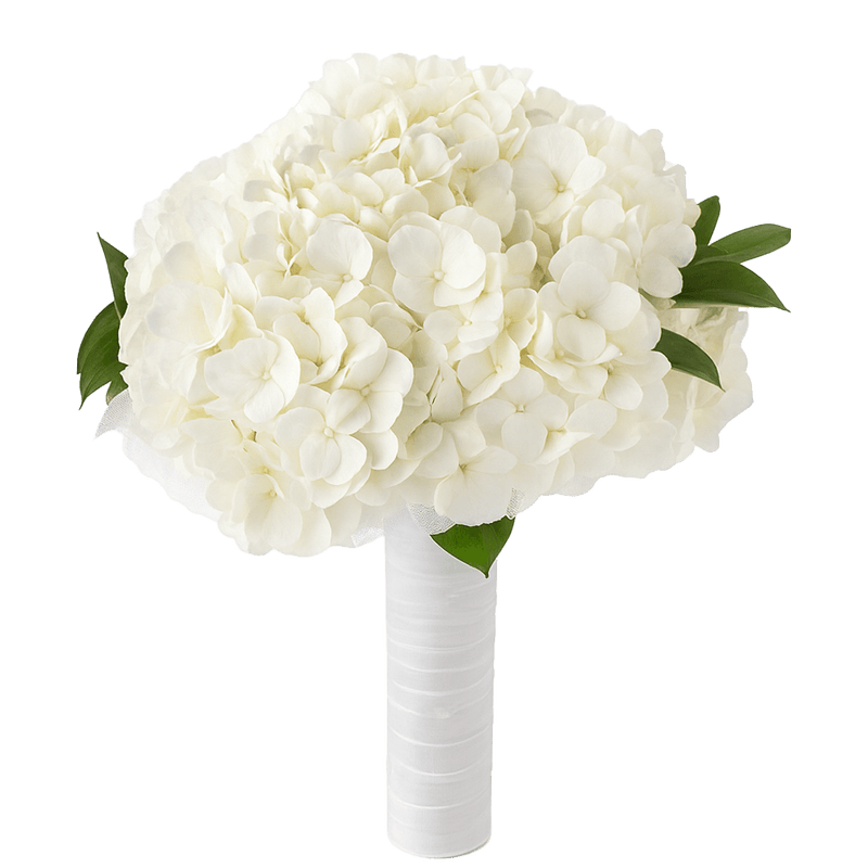 White Hydrangea Bridesmaids Bouquets Fresh Wedding Flowers