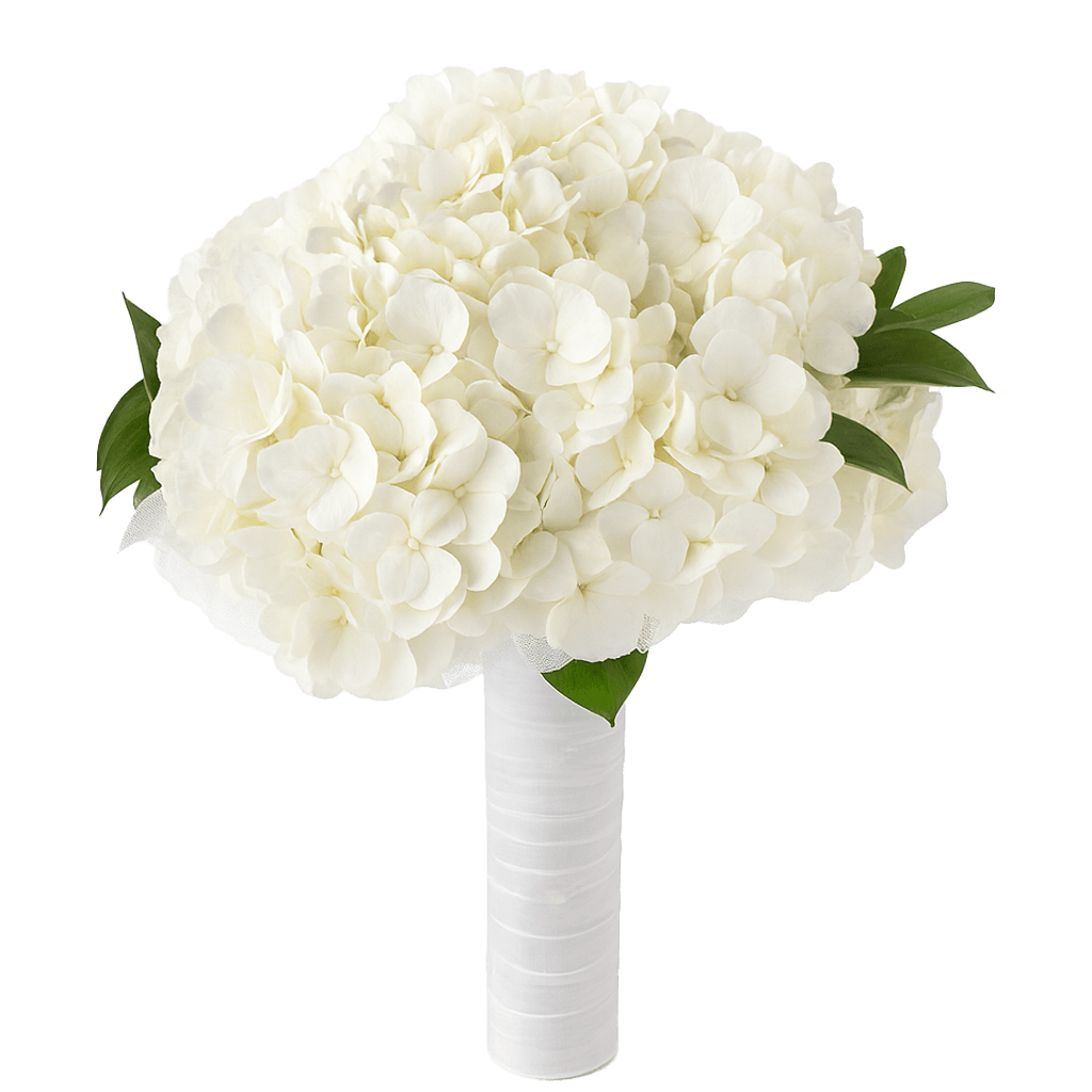 White Hydrangea Bridesmaids Bouquets 6 Sets Fresh Flowers 6 Stems Each
