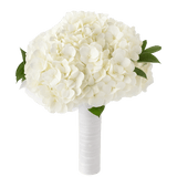 White Hydrangea Bridesmaids Bouquets 6 Sets Fresh Flowers 6 Stems Each