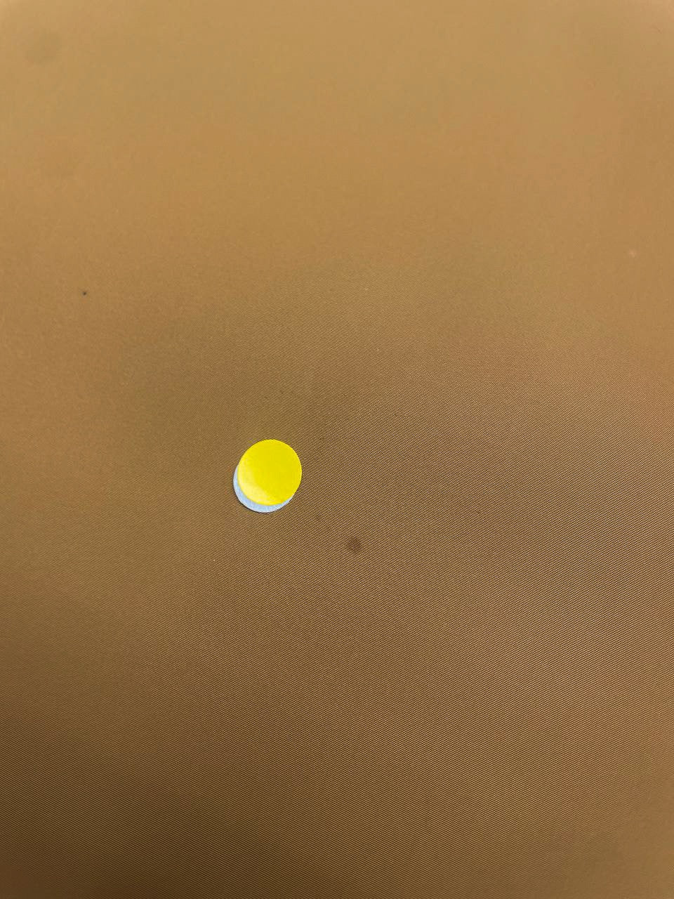 Polyamide Taffeta Yellow Shade