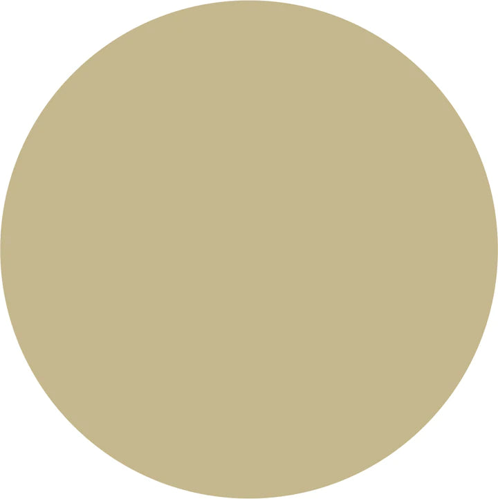 Plain Heat Transfer Vinyl - Beige, 20" H x 12" W (Foot)