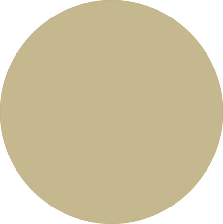 Plain Heat Transfer Vinyl - Beige, 20" H x 12" W (Foot)