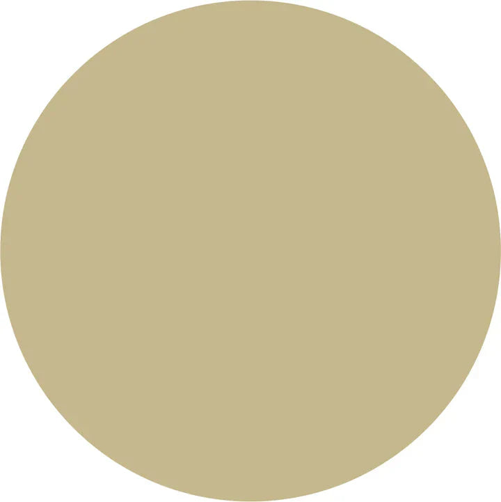 Prolite Vinyl Fabric - Beige, Heat Transfer Vinyl, 20" H X 12" W (Foot)