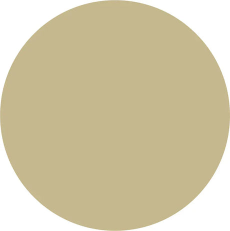 Prolite Vinyl Fabric - Beige, Heat Transfer Vinyl, 20" H X 12" W (Foot)