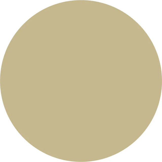 Prolite Vinyl Fabric - Beige, Heat Transfer Vinyl, 20" H X 12" W (Foot)