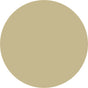 Prolite Vinyl Fabric - Beige, Heat Transfer Vinyl, 20" H X 12" W (Foot)