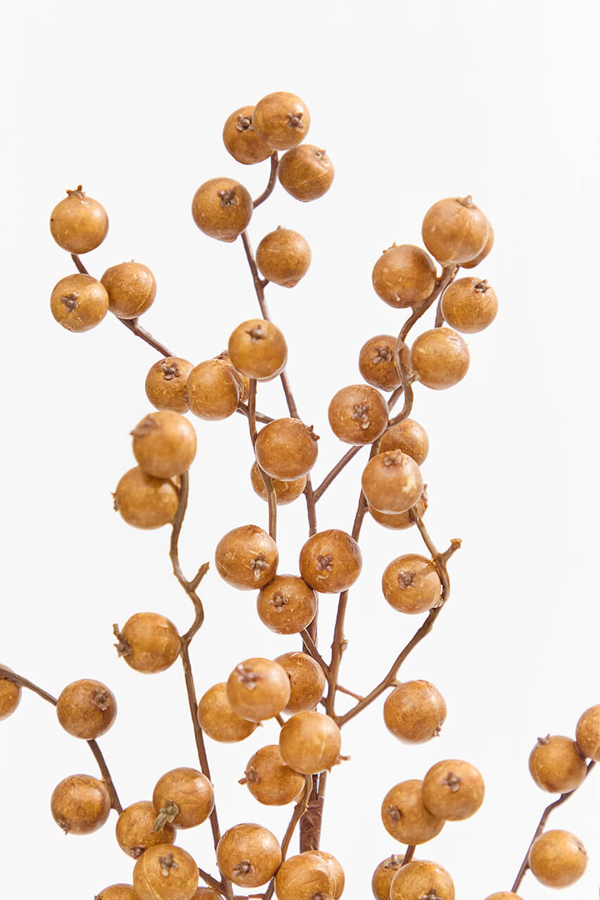 29” Crabapple Spray - Butternut