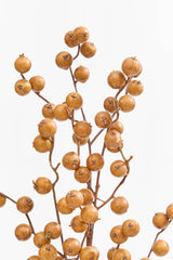 29” Crabapple Spray - Butternut
