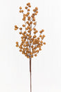 29” Crabapple Spray - Butternut