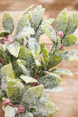 17" Flocked Mistletoe Christmas Bush