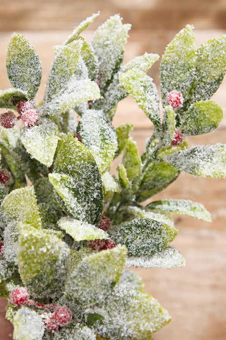 17" Flocked Mistletoe Christmas Bush