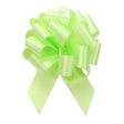 Pull Bow Celery 5 Inch