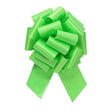 Pull Bow Citrus Green