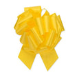 Pull Bow Daffodil
