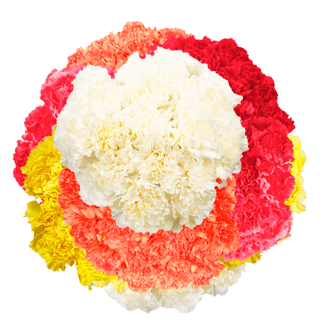 Assorted Carnations – Fresh Flower Bouquets